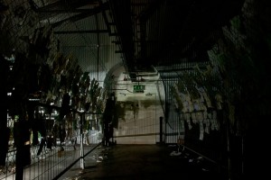 And Darkness Descends